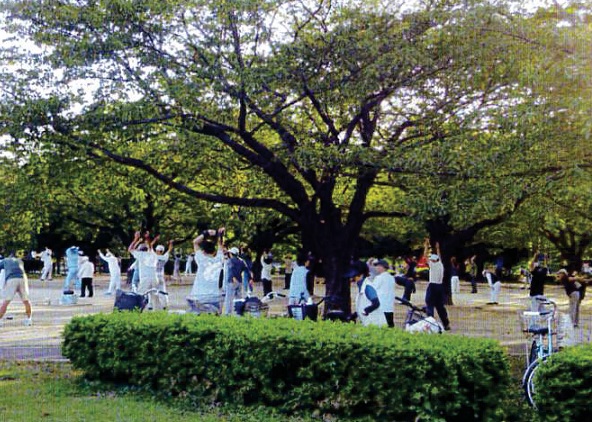 木場公園